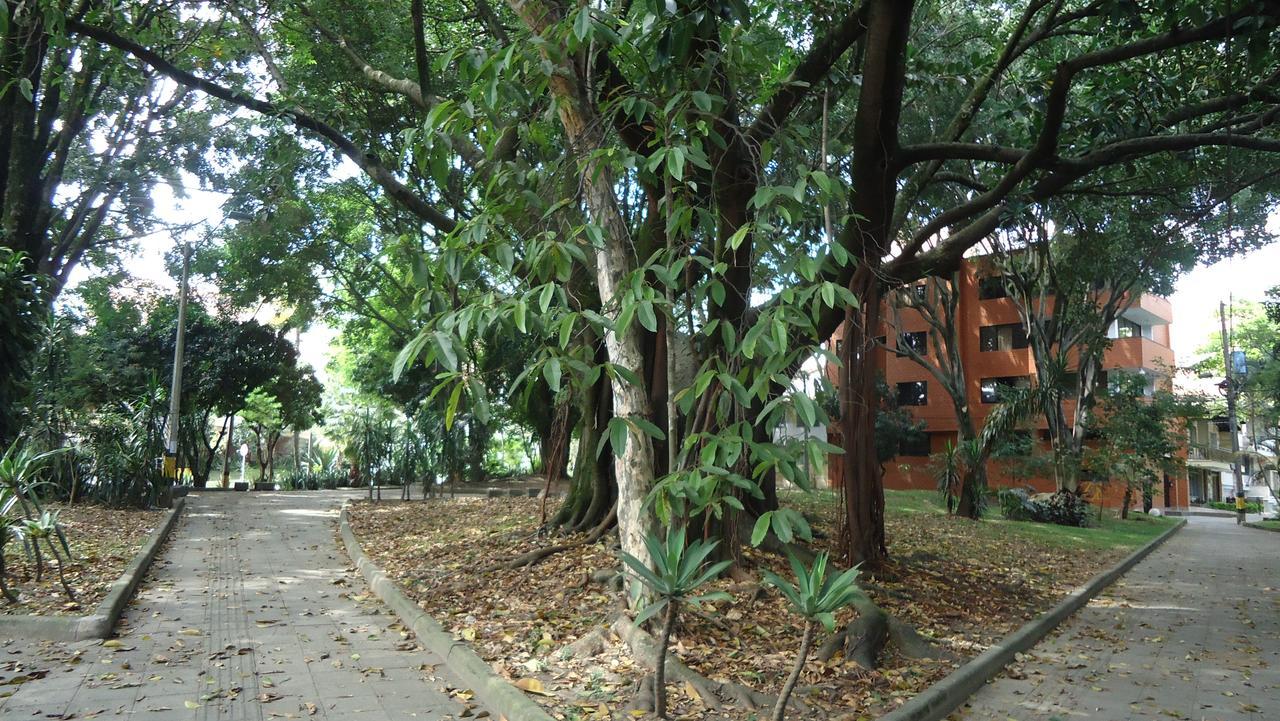 Iris Hostel เมเดยิน ภายนอก รูปภาพ